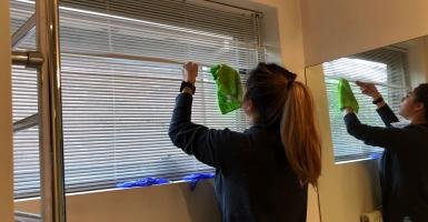 steam clean cellular shades